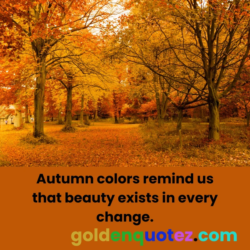 Autumn Colors