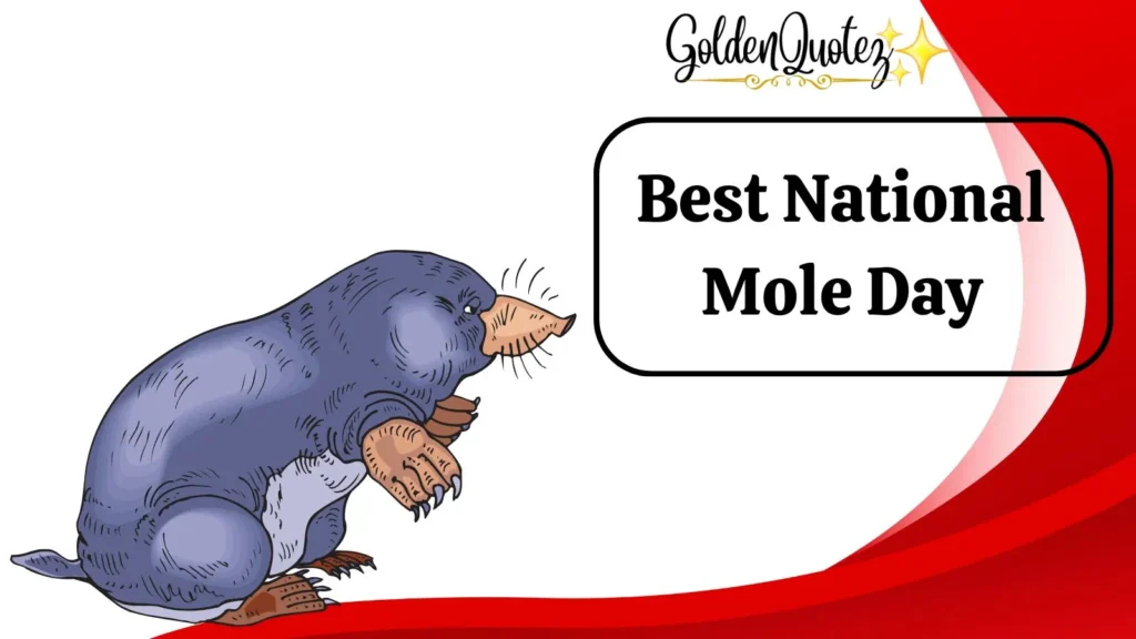 Best National Mole Day