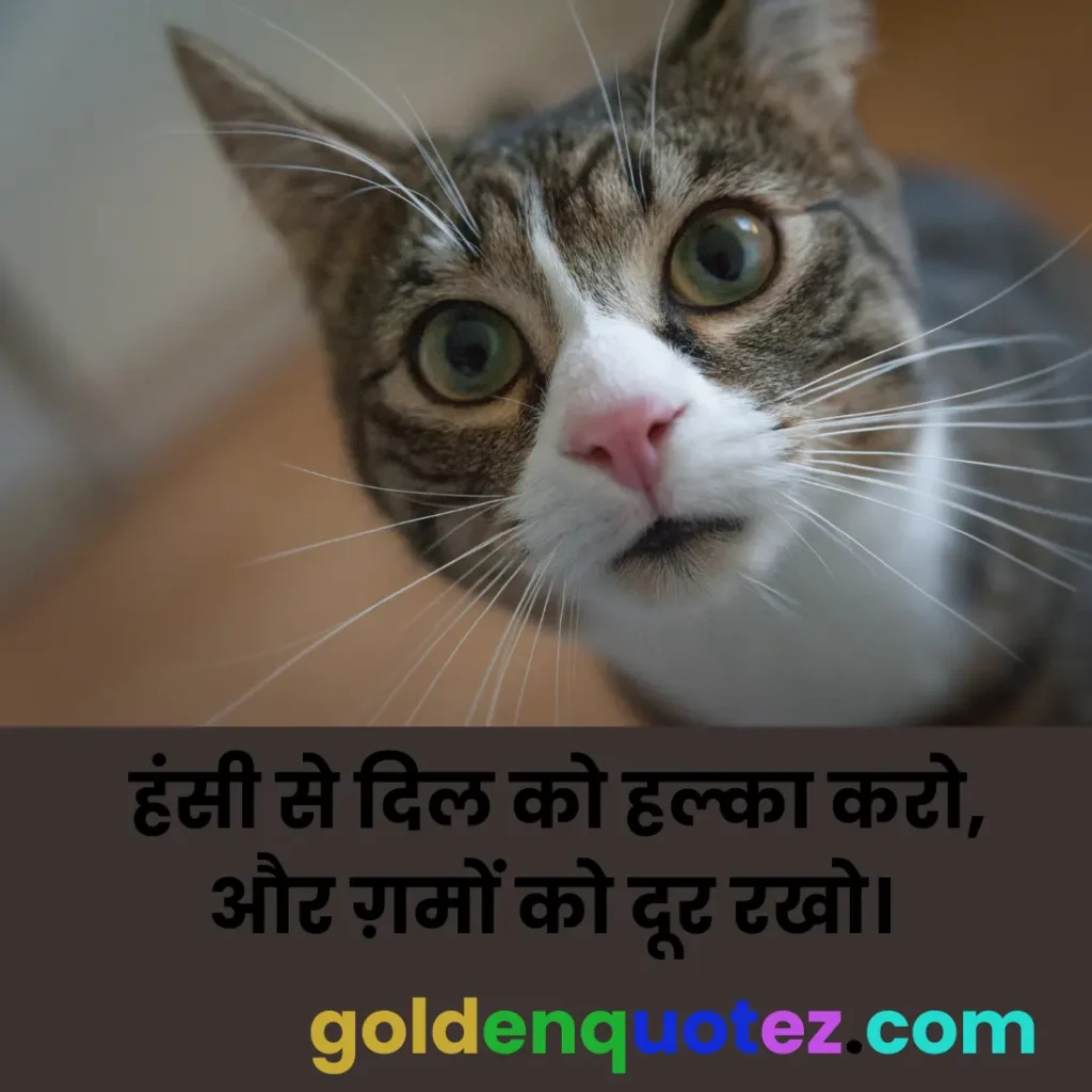 Cute Funny
