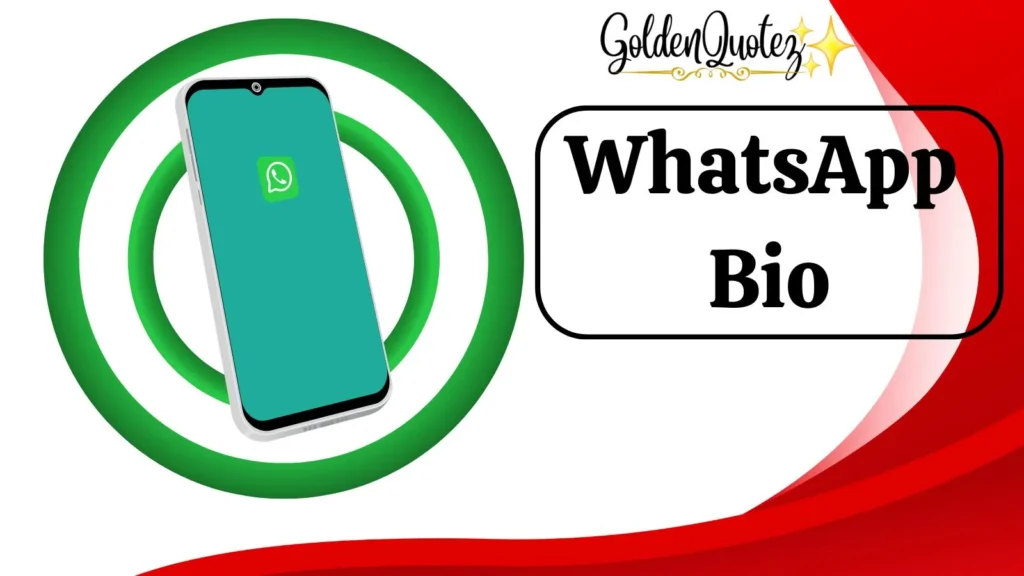 WhatsApp Bio