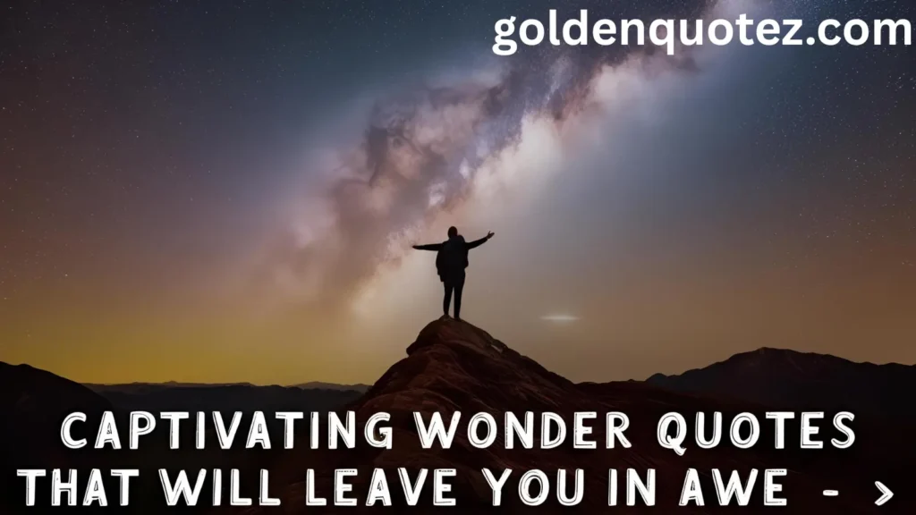 Wonder Quotes